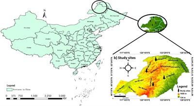 Xylem anatomical responses of Larix Gmelinii and Pinus Sylvestris influenced by the climate of Daxing’an mountains in Northeastern China